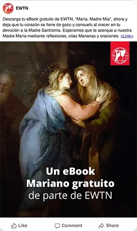 Ewtn Mary My Mother Organic Organic Social 1x