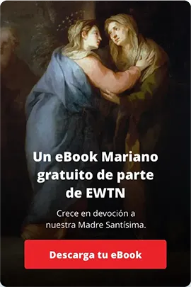 Ewtn Mary My Mother Organic Web Banner 1x